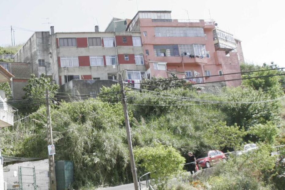 “Deviam deitar tudo abaixo já”