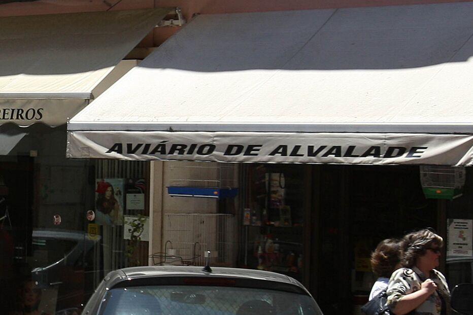 Atingido a tiro durante passeio