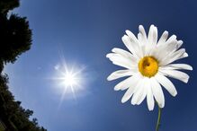 Bom tempo está de volta! Fim de semana de primavera com 24 graus