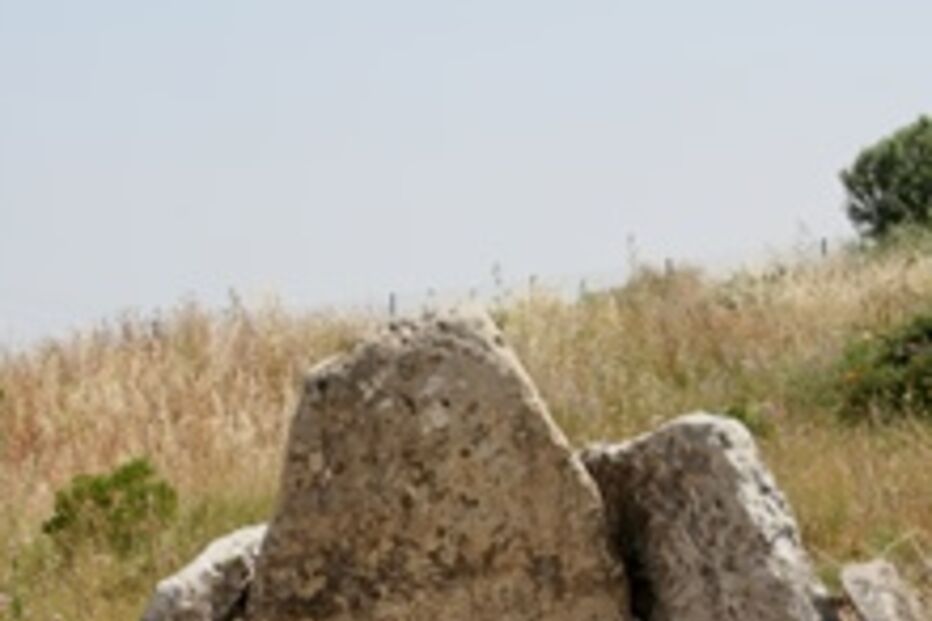 PJ investiga destruição da Anta da Pedra dos Mouros