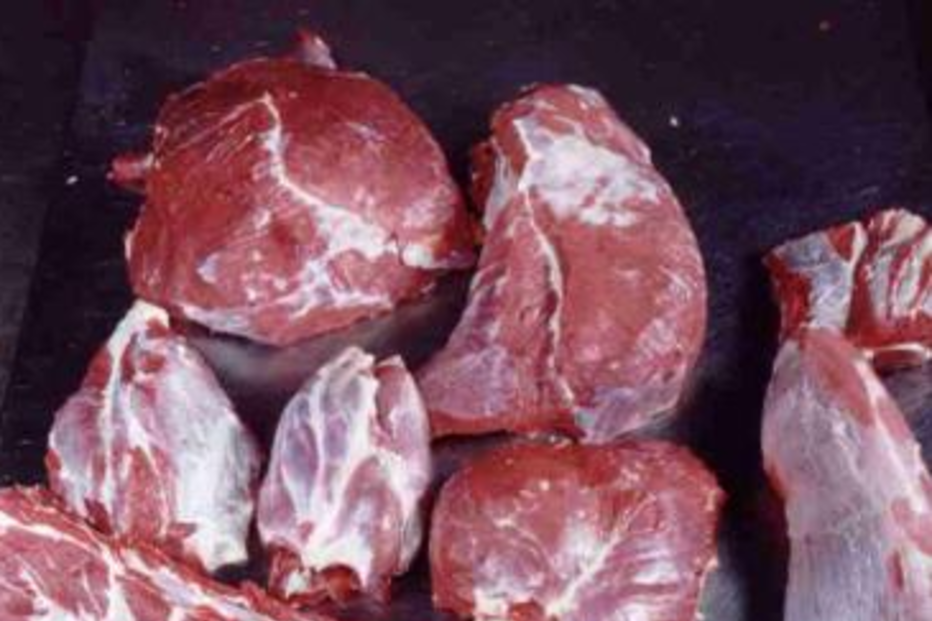 Polícia apreende 220 quilos de carne deteriorada