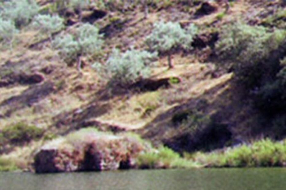 Jovem morre afogado em praia fluvial do rio Ocreza 