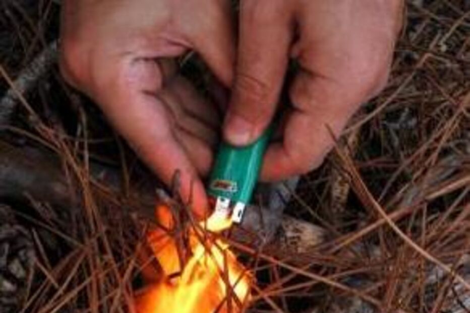 PJ já deteve 28 incendiários este Verão