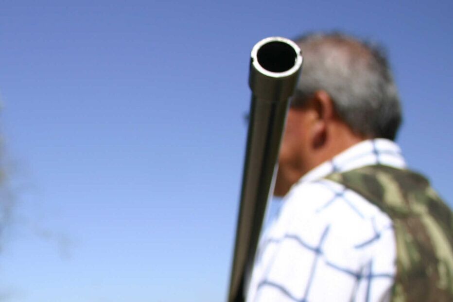 Terreno livre sem edital de migradoras