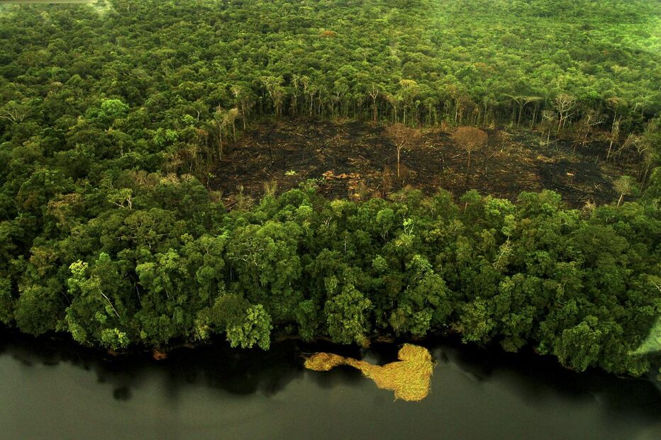 A Amazónia perdeu cerca de 48 mil quilómetros quadrados de áreas protegidas, o equivalente a dez vezes a área do Algarve, com a extinção e redução de unidade de conservação desde 2008. (getty images)