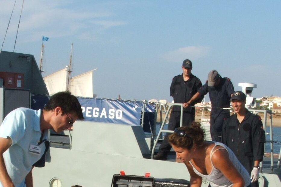 Tartaruga encontrada já cadáver