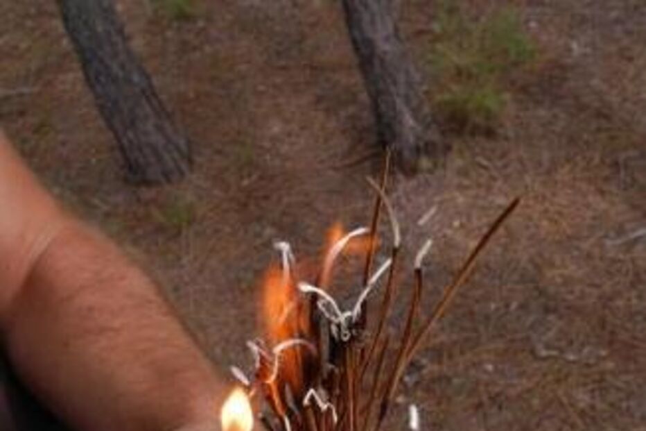 Detido suspeito de atear dez fogos