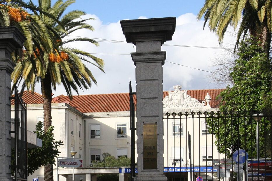 Siameses vêm para Portugal