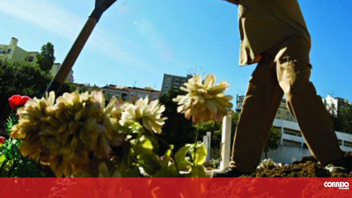 Sete palmos de terra Domingo Correio da Manhã Sete palmos de terra Domingo Correio da Manhã