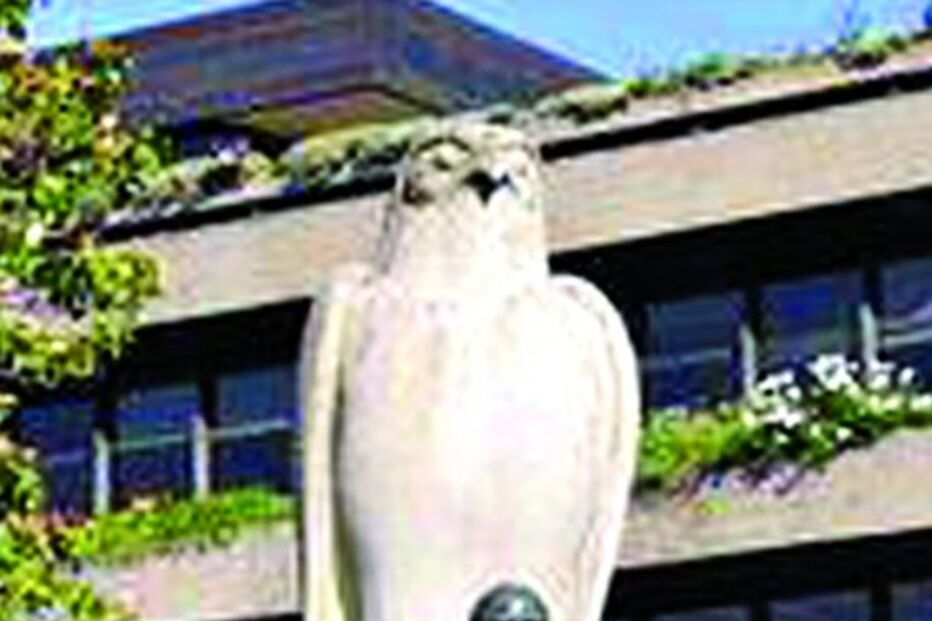 Fundação sem Belas-Artes