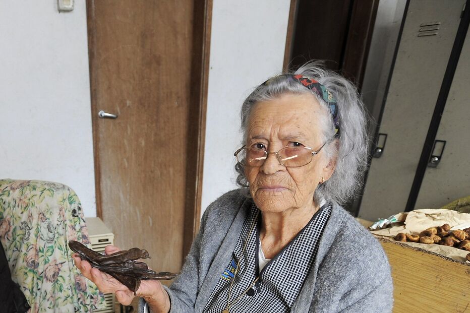 Alfarrobas de idosa furtadas