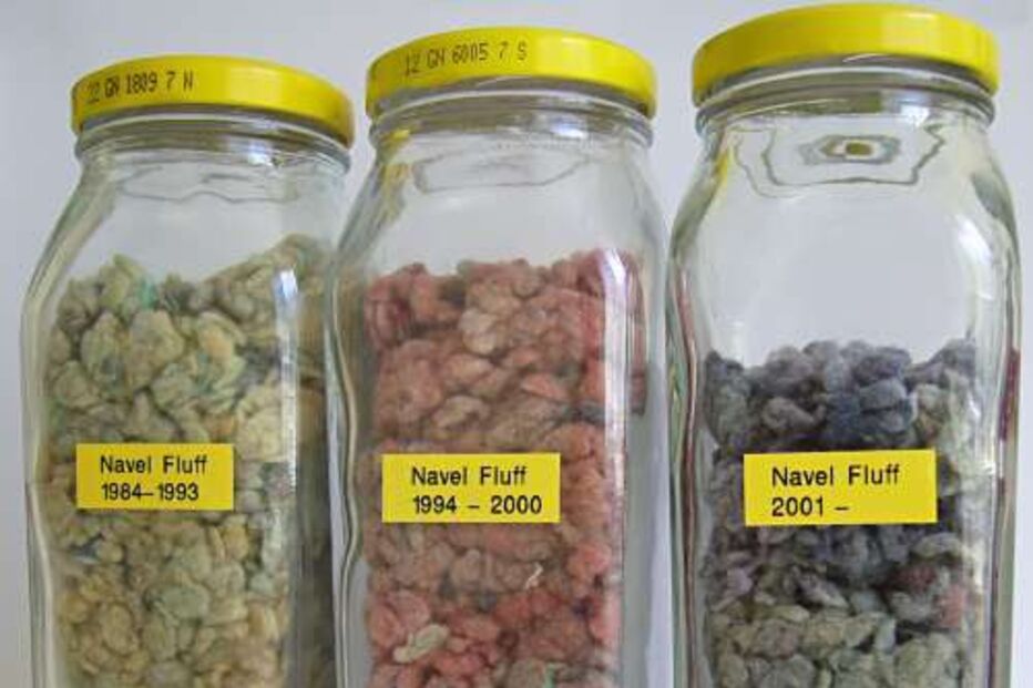 Recordista de cotão do umbigo    