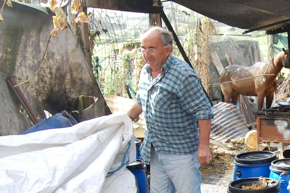 Fogo posto em vacaria