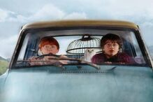 Três feiticeiros de 'Harry Potter' cresceram numa década de filmes