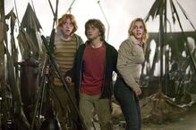 Três feiticeiros de 'Harry Potter' cresceram numa década de filmes