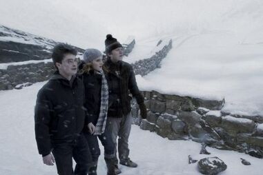 Três feiticeiros de 'Harry Potter' cresceram numa década de filmes