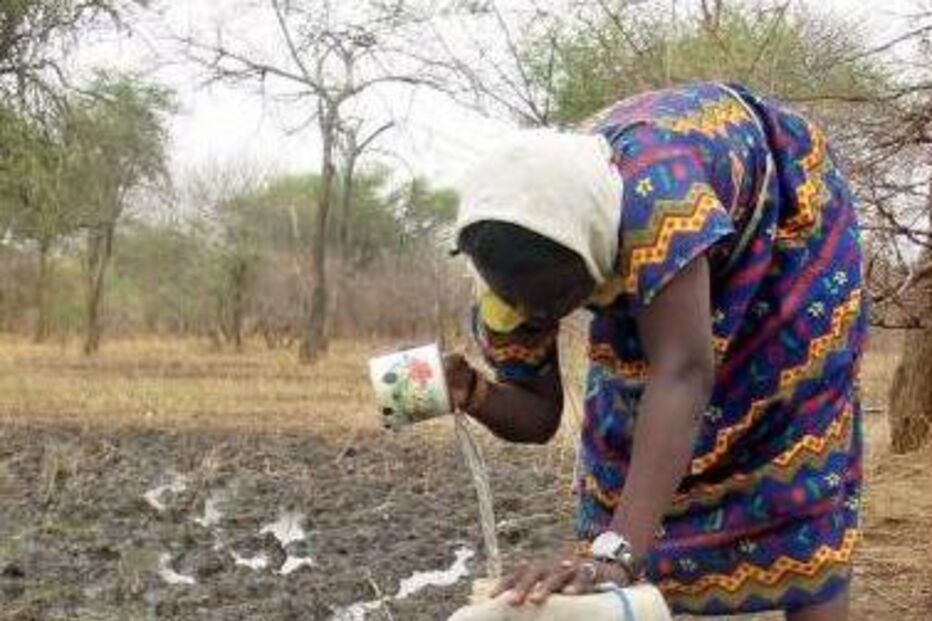 Moçambique, Mosca, negra, cegueira