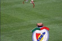 Benfica perde águia 'Vitória' devido a problemas com tratador