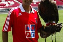 Benfica perde águia 'Vitória' devido a problemas com tratador