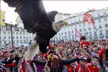 Benfica perde águia 'Vitória' devido a problemas com tratador