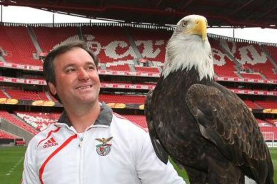 joão bernabé, águia vitória, benfica, estádio da luz, luís filipe vieira, rui pereira