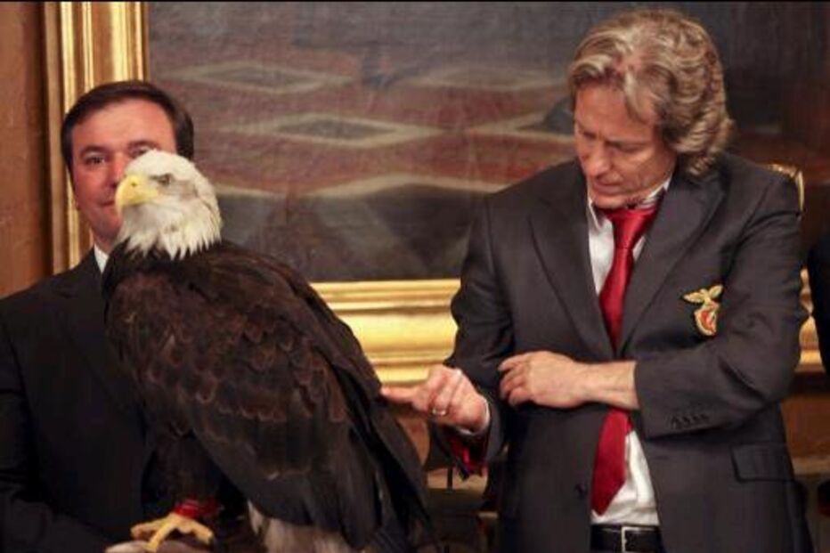 Benfica perde águia 'Vitória' devido a problemas com tratador