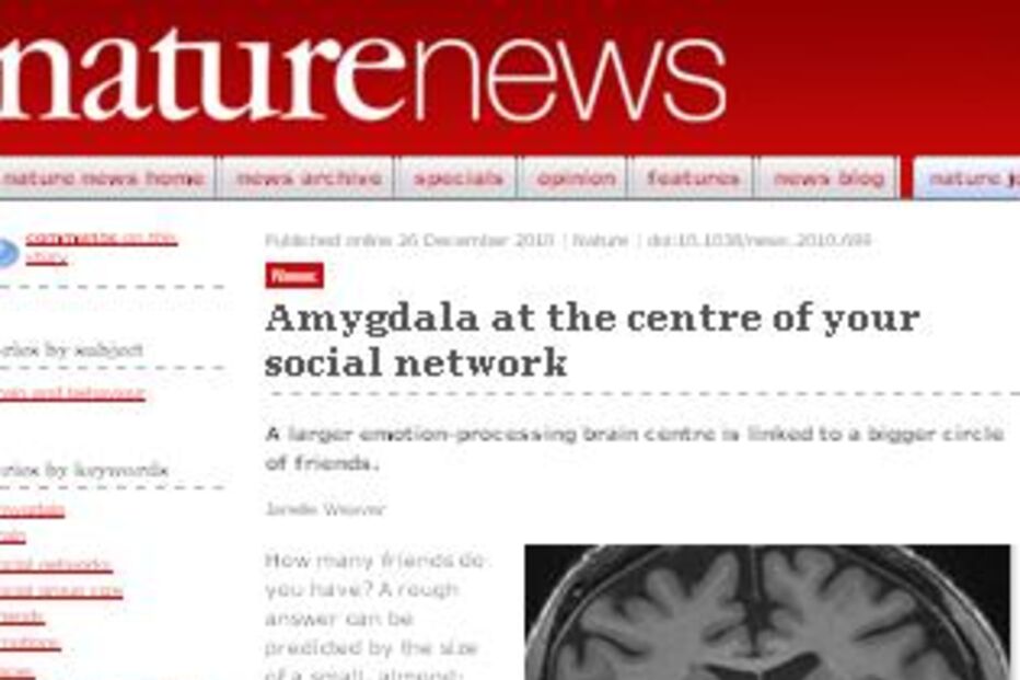 Redes Sociais, Amigos, Estudo, Amígdala