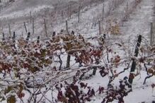 neve, meteorologia, Bragança