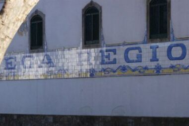 Abate de plátanos centenários em tribunal