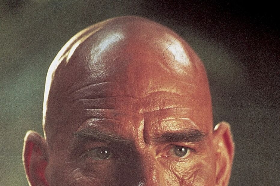 Grandes papéis do actor britânico Pete Postlethwaite