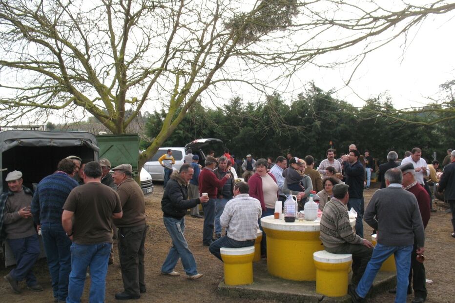 Baraçais mantém tradição e festeja Santo Antão