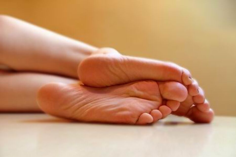 doença, paramiloidose, tafamidis, transplante hepático, medicamento