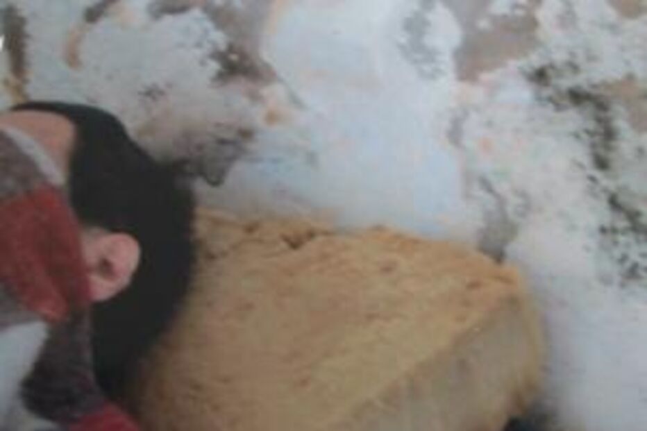 brasil, sequestro, cativeiro, maus tratos, problemas mentais