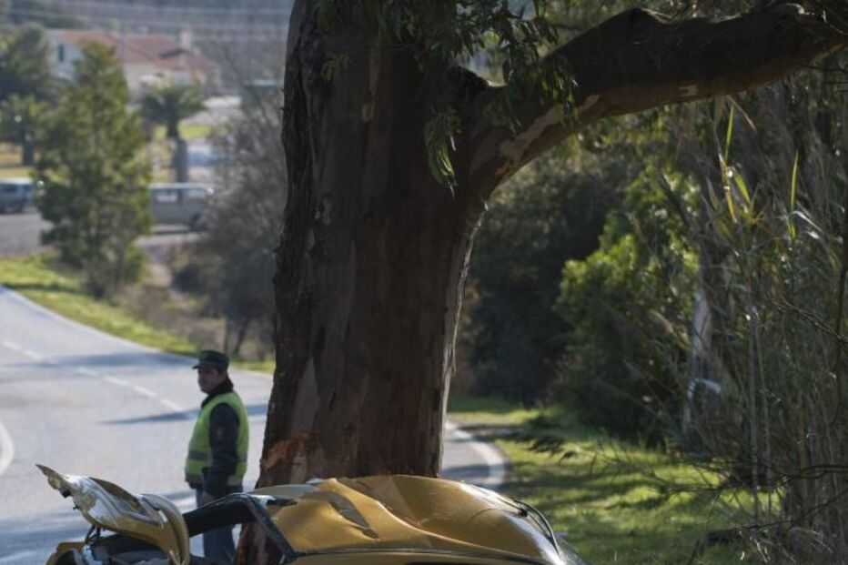 ACIDENTES, SINISTRALIDADE, CARREGADO, DESPISTE, MORTE, FERIDOS