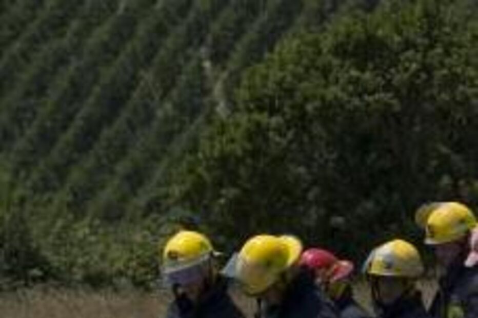 tractor, acidente, amputação, torres novas, idoso