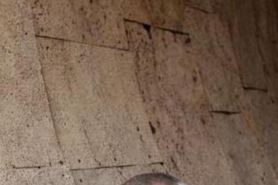 sic, família mata, série, televisão, josé pedro gomes, nuno santos