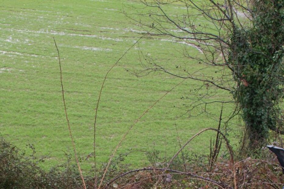 Populares tentam travar sucessivos acidentes