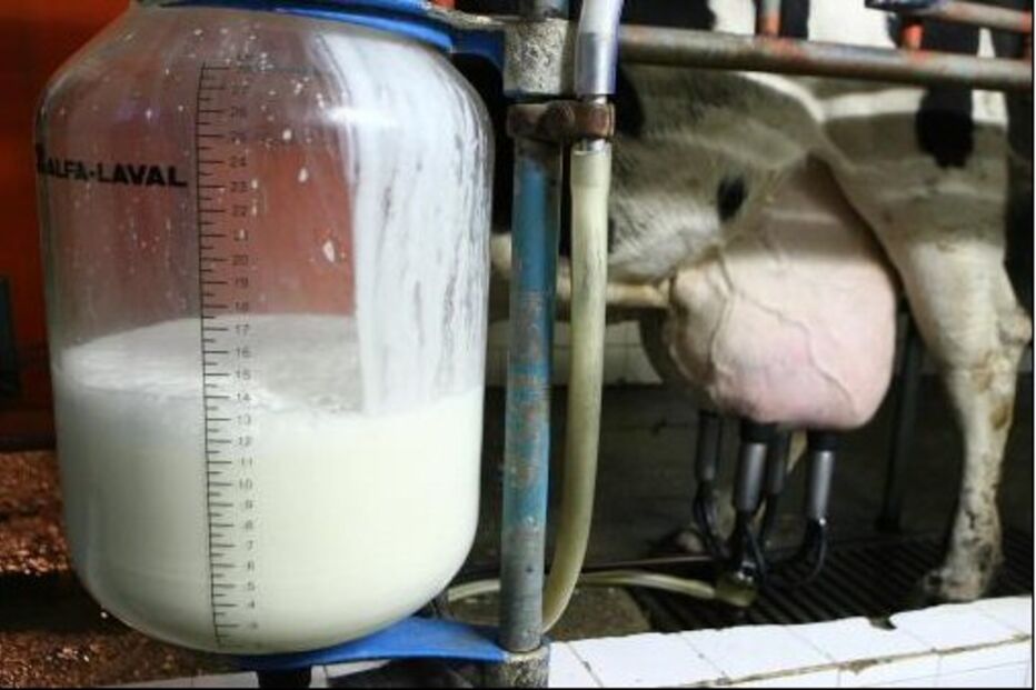 leite, produtores de leite, aumento do preço, produção, custos