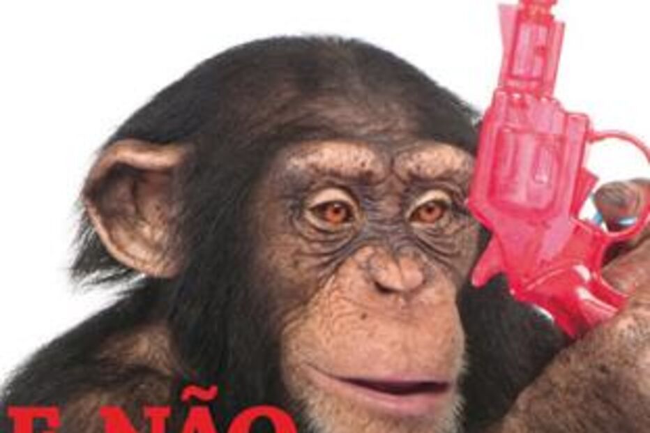 teatro, comuna, e não se pode matá-los, joão mota