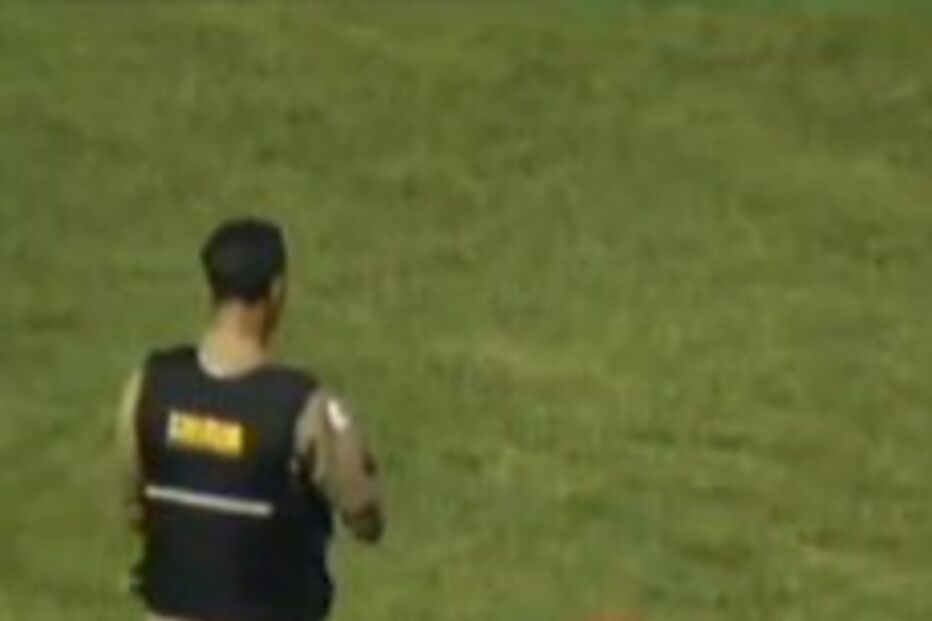 cadela, cão, jogo, futebol, brasil, uberlândia, ituiutaba