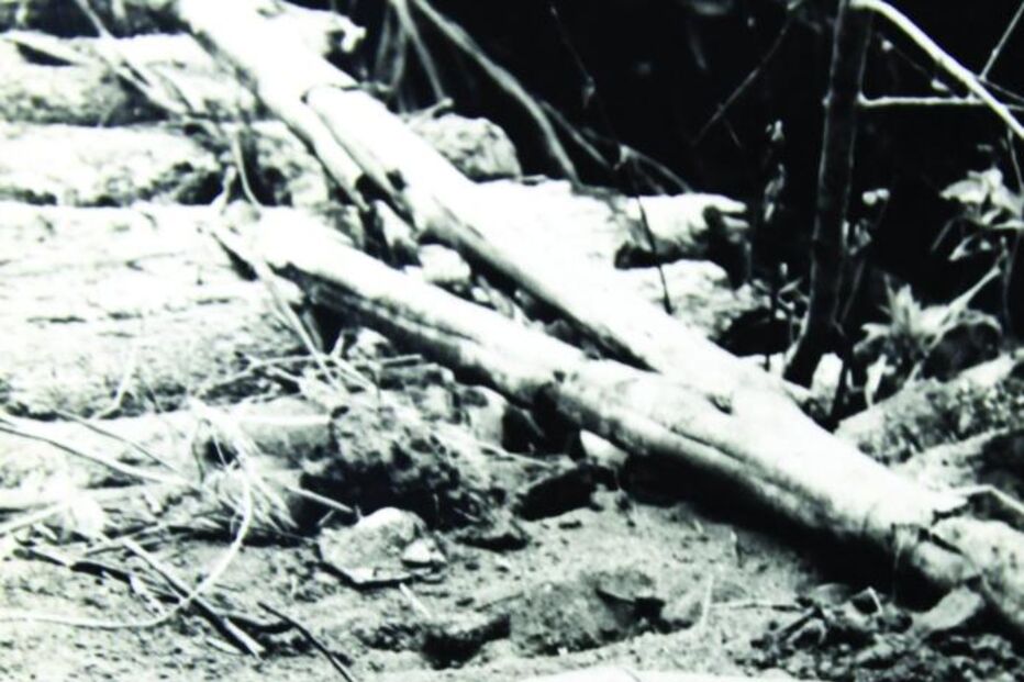 Quando o País mergulhou na guerra