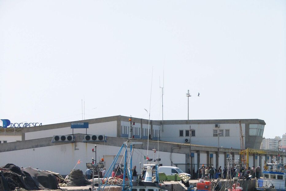 CAVALA, ATUM, PESCAS, ALGARVE, LOTA