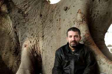 "Aquilo nem parece um cemitério"