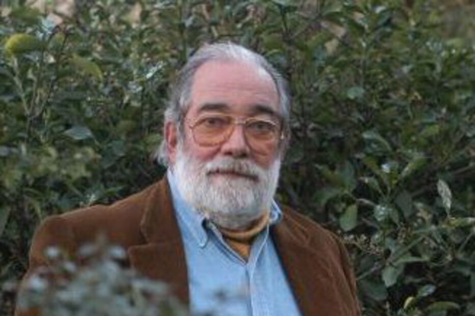 joaquim letria, processo, entre-os-rios, ponte, jornalista, crónica, antero gaspar, presidente, câmara, castelo de paiva