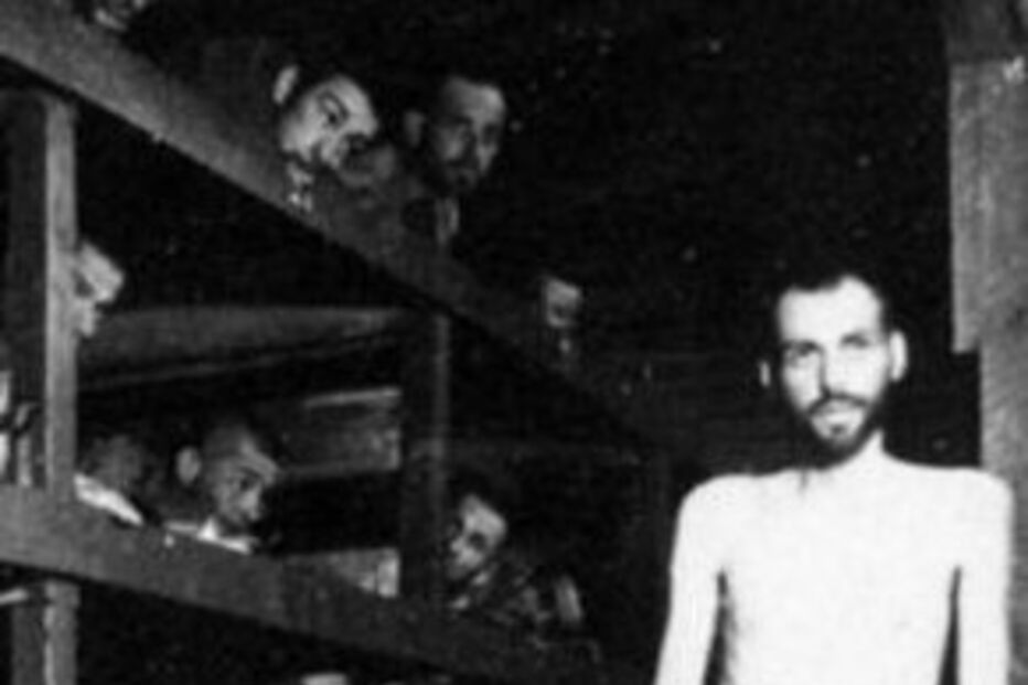 NAZI, II Guerra Mundial, Hungria, homenagem, embaixadores