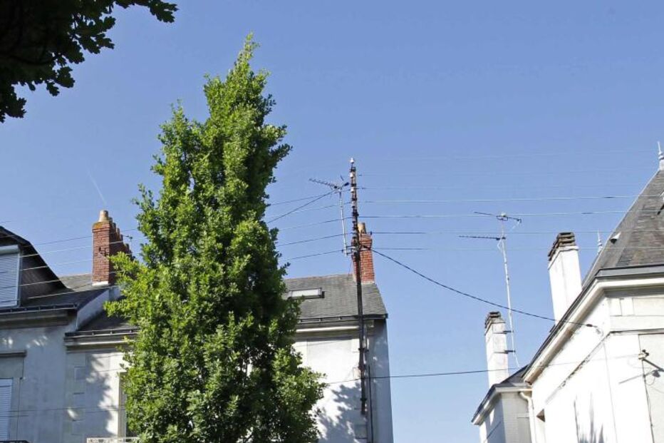 França, mortes, assassinato, família