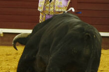 Campo Pequeno, Corrida Vidas/CM, Luís Rouxinol, Joaquim Bastinhas, Alejandro Talavante, António Ferrera, Tertúlia Terceirense, Tauromaquia