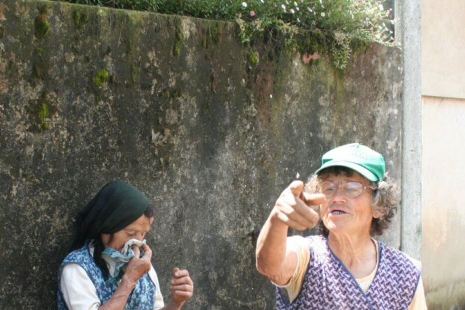 Vacas abatidas com tiros de G3  