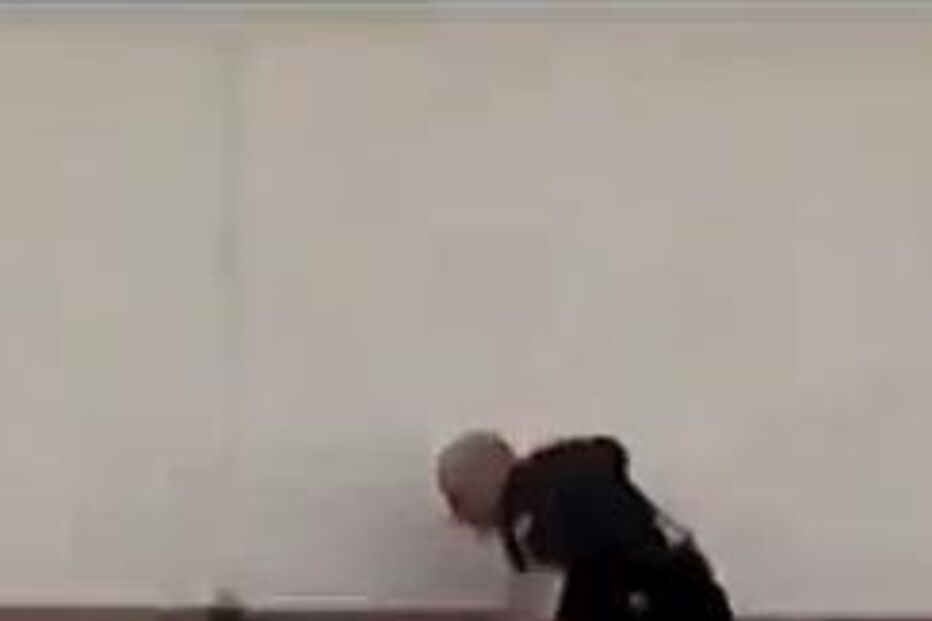 Agressão policial, Phoenix, EUA, Arizona, You Tube, Patrick Larrison