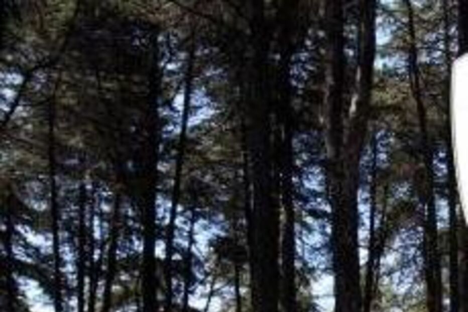 Amadora, PJ, Monsanto, crimes